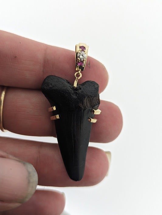 August 30th 2025 : Sea to Studio: Jewelry from Coastal Treasures