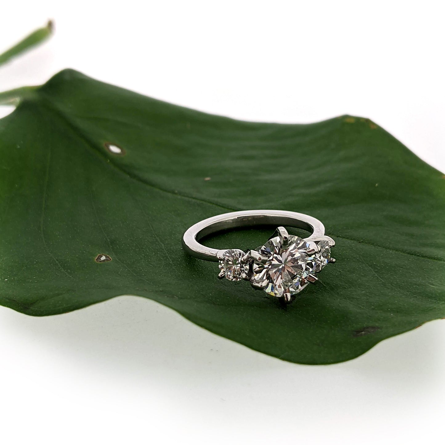 Ariana Setting (Moissanite) - Made to Order