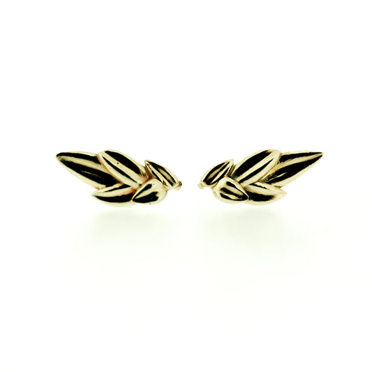 Full view of gold Alyvia Crawler Earrings.