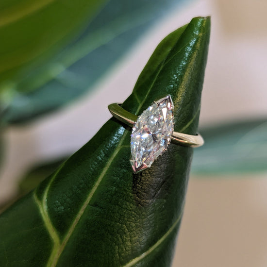 Diamond ring on a green leaf with a blurred background