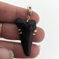 August 30th 2025 : Sea to Studio: Jewelry from Coastal Treasures