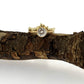 Full view of Barnacle Shadow band on top of a branch. Here you see the gold barnacle shaped band and its matching engagement ring.