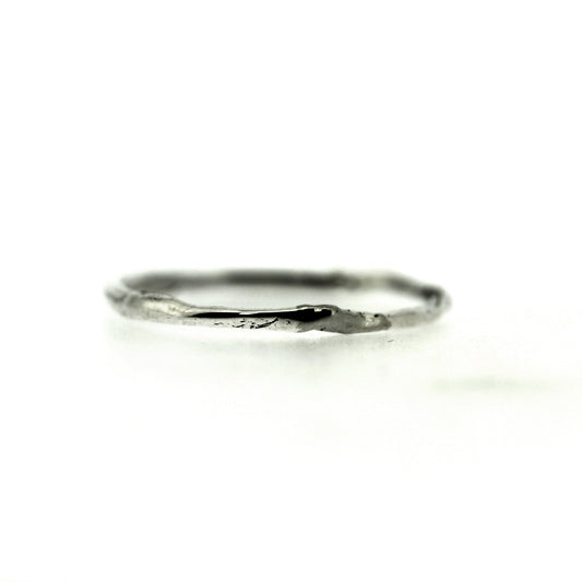Silver Ebb Band.