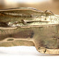 Detail shot of men's Summit Band.