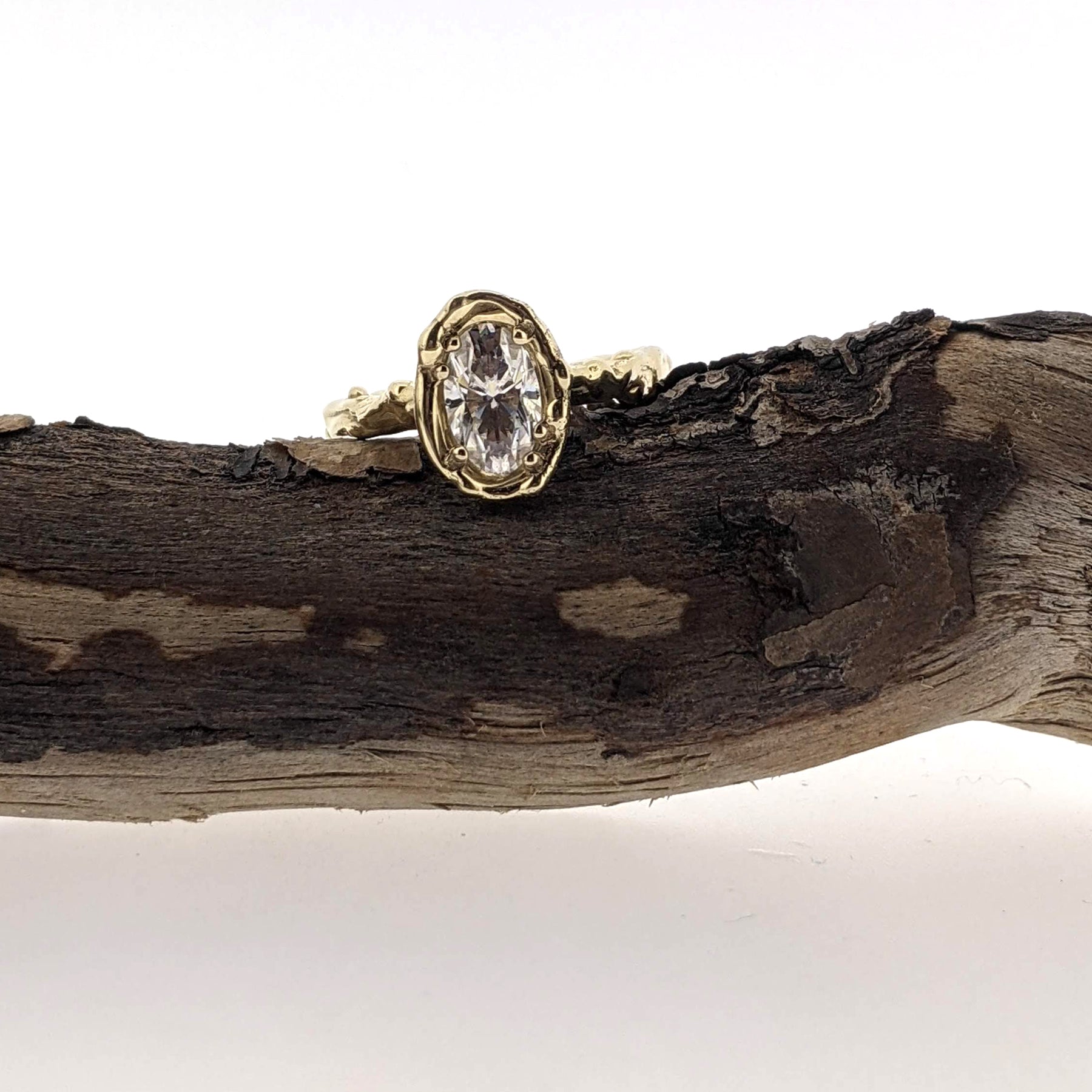 Close up view of Annette Moissanite Ring on branch.
