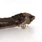 Full view of Annette Moissanite Ring with stick overtop of it. A long oval Moissanite, approximately 1.13 Carats, is set in an organic 14K Yellow Gold metal Halo.  