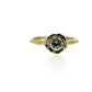 Catalina Setting - Made to Order