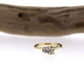 Full view of Cleopatra Diamond Engagement Ring with branch in background.
